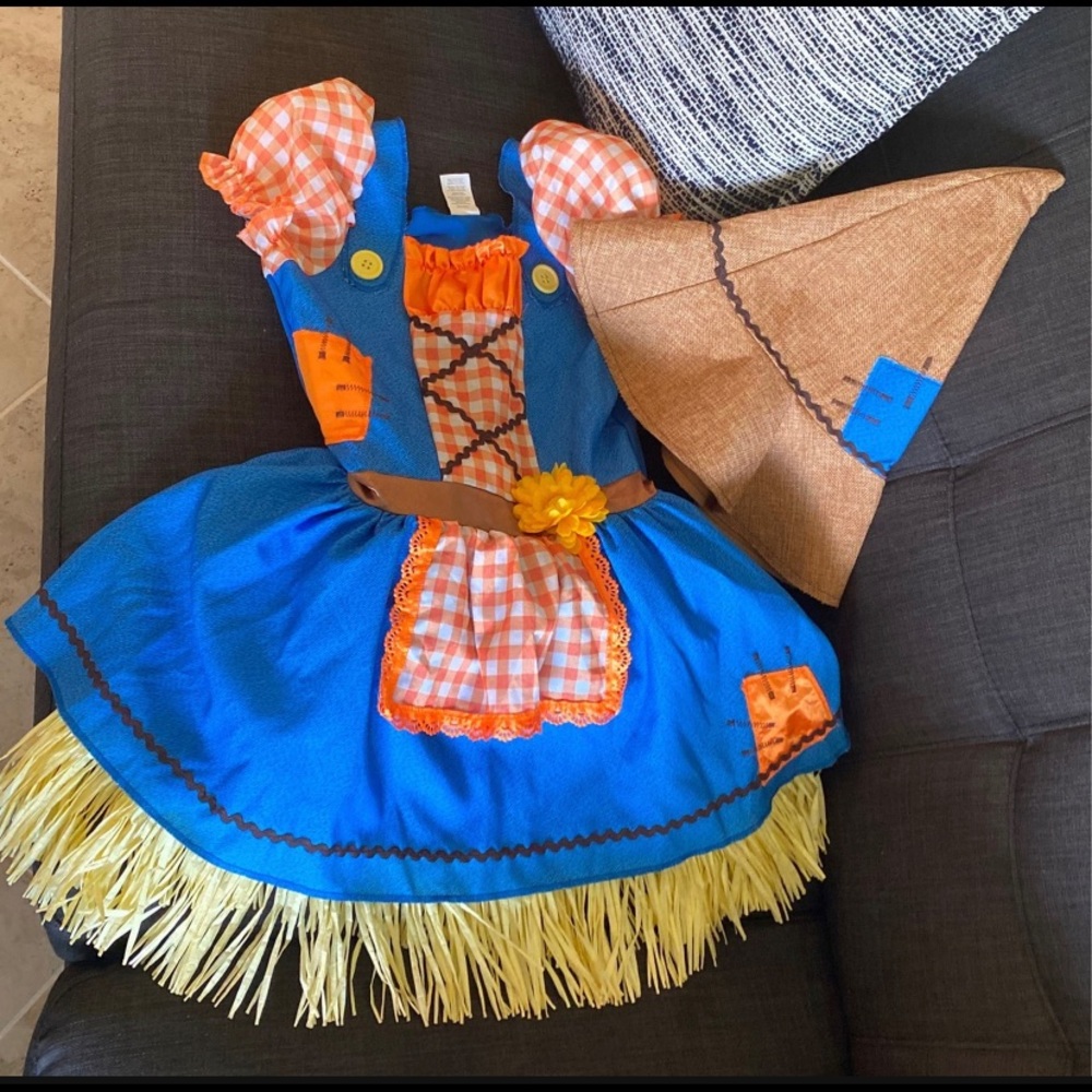 Dorothy Custome for Halloween